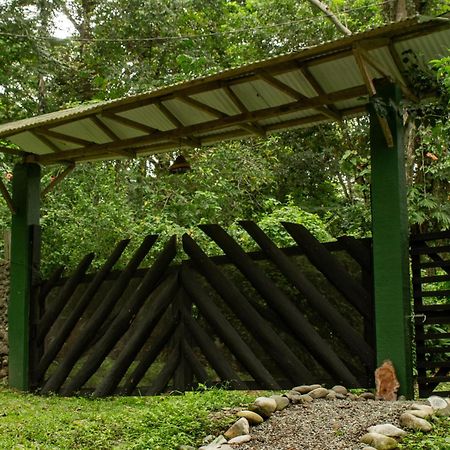 Smile Jungle Hostel Puerto Viejo de Talamanca Екстер'єр фото