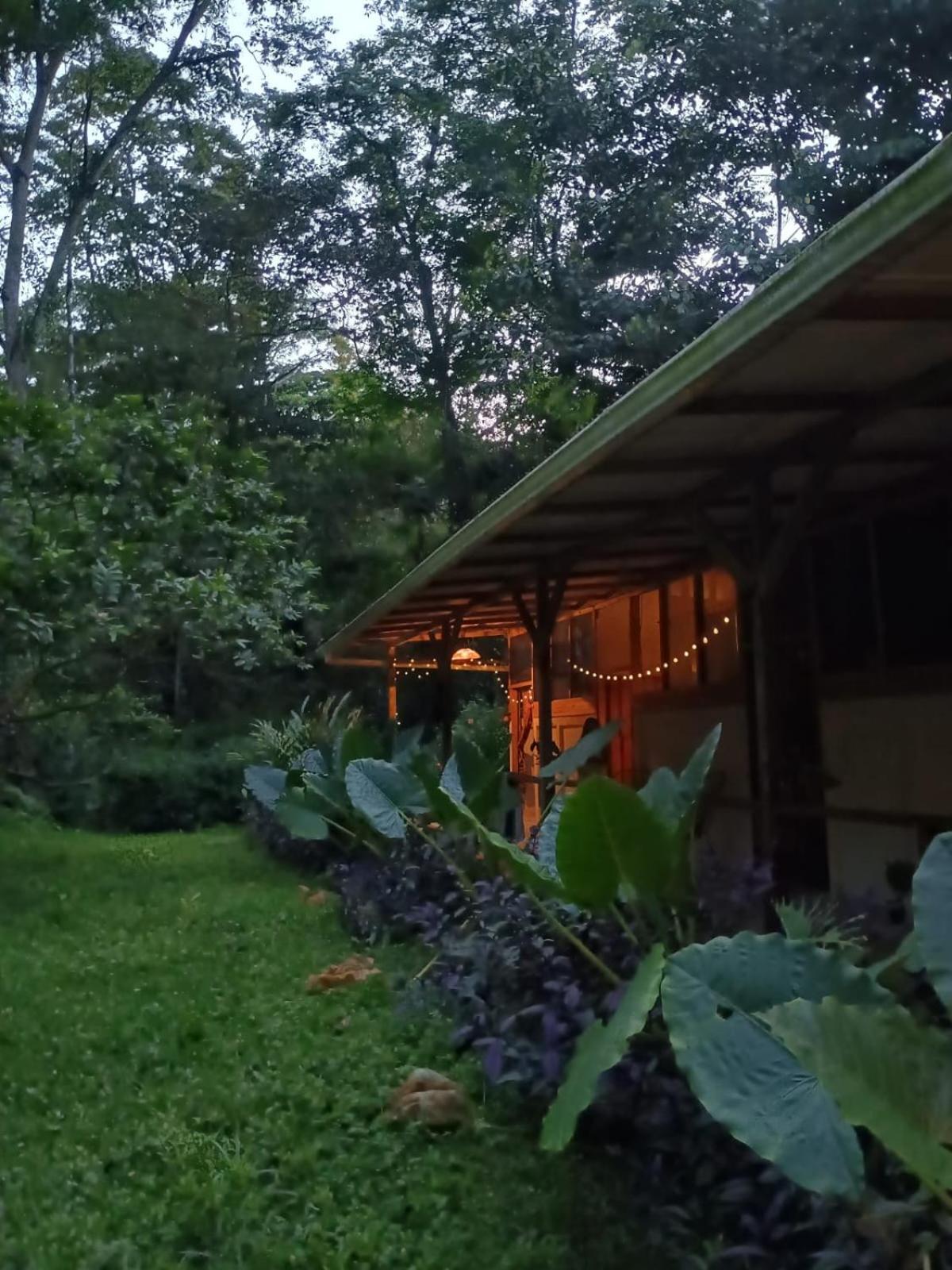 Smile Jungle Hostel Puerto Viejo de Talamanca Екстер'єр фото