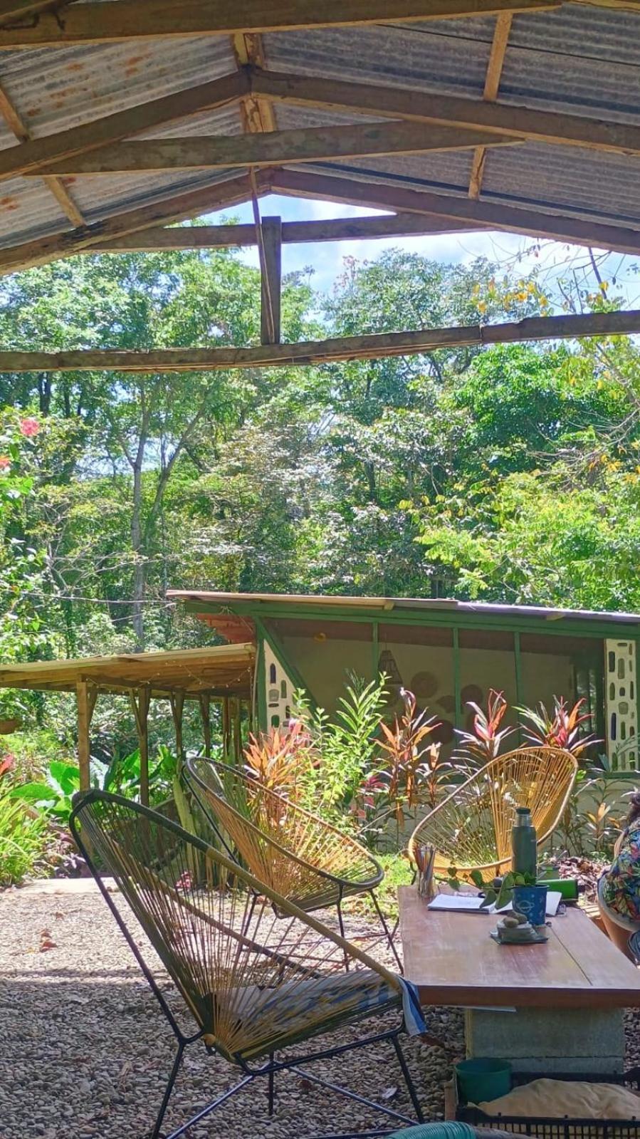 Smile Jungle Hostel Puerto Viejo de Talamanca Екстер'єр фото